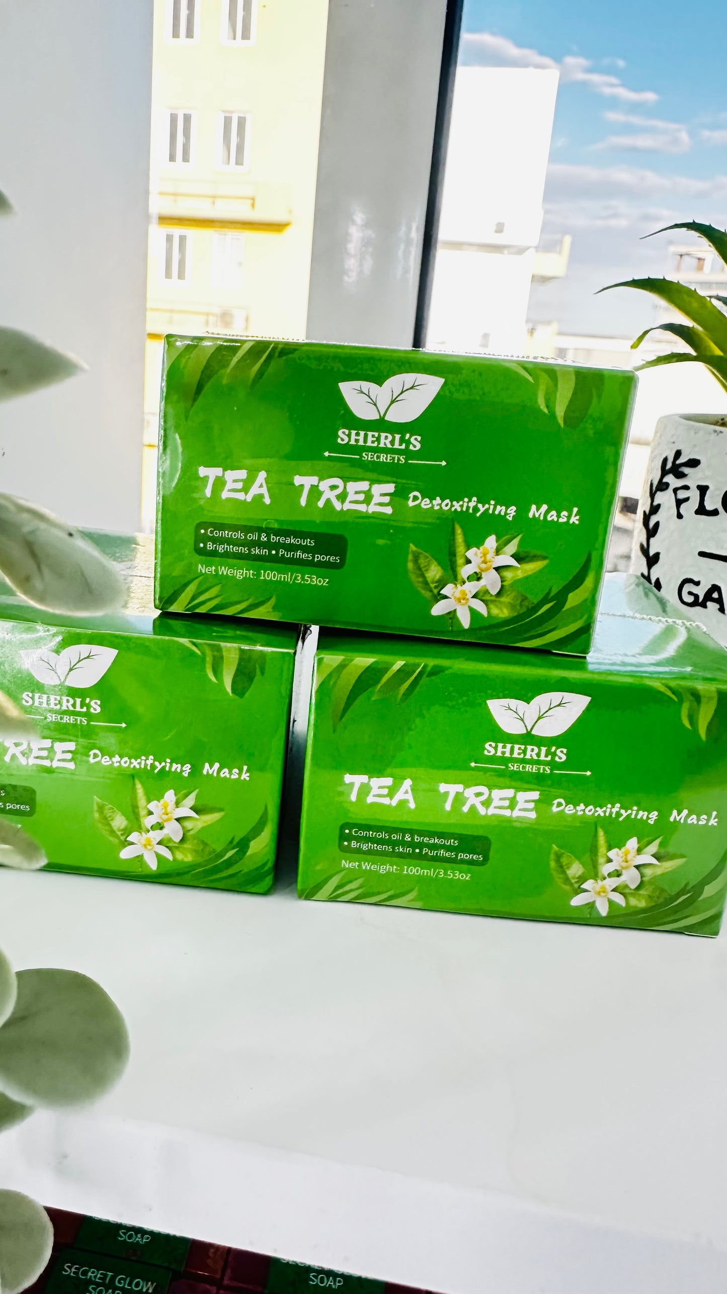 🌿 Tea Tree Detoxifying Mask