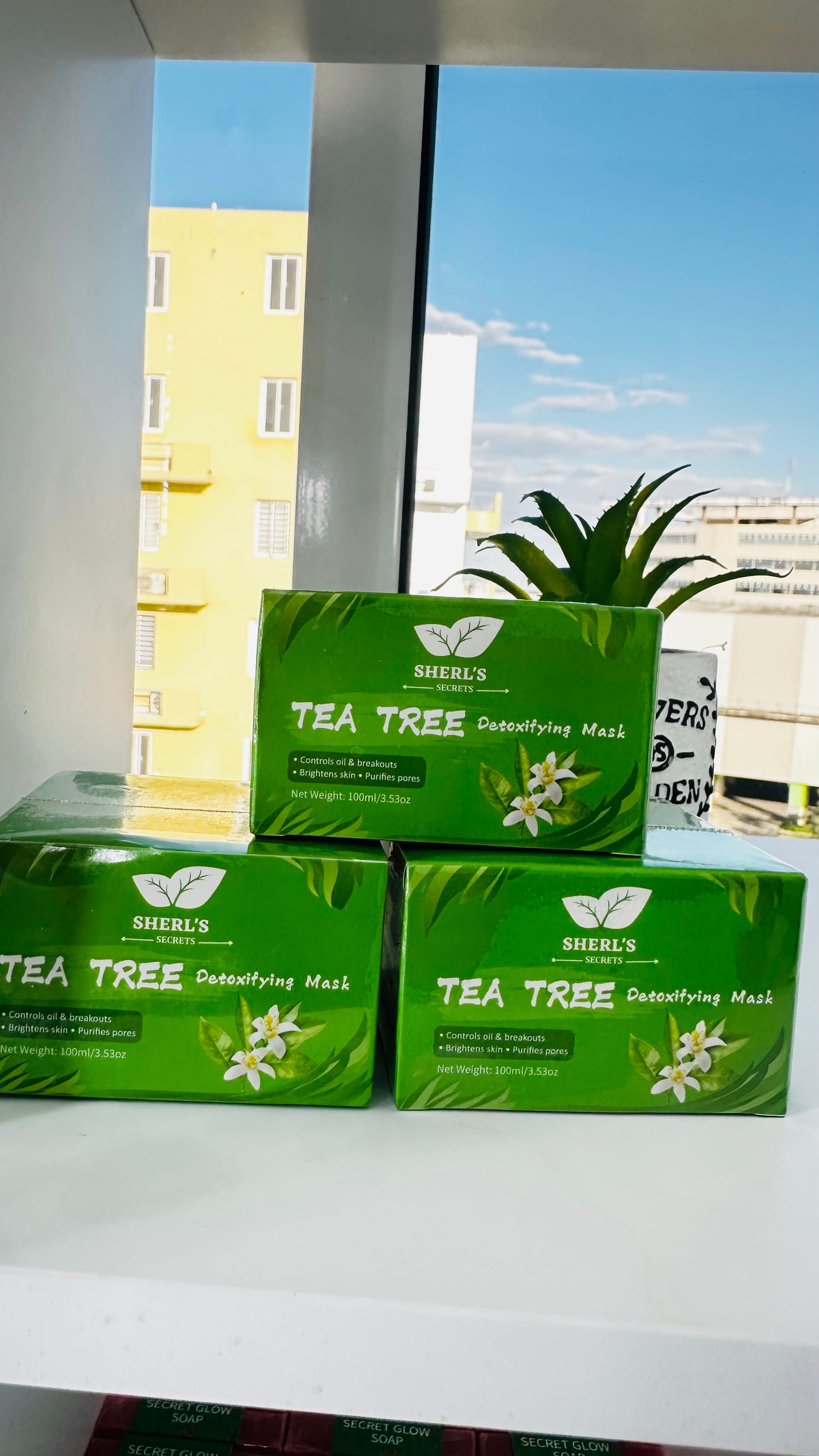 🌿 Tea Tree Detoxifying Mask